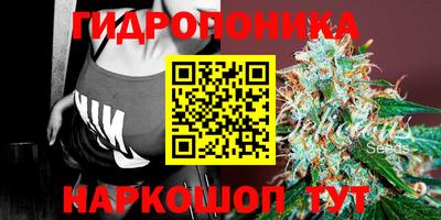 метадон Новодвинск